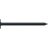 Dachpappstift verzinkt, 2,8 x 25 im Paket a 2,5 kg
